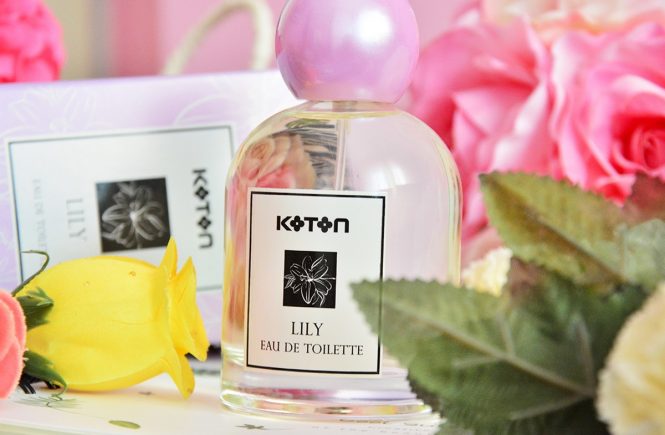 Koton Parfüm Blog